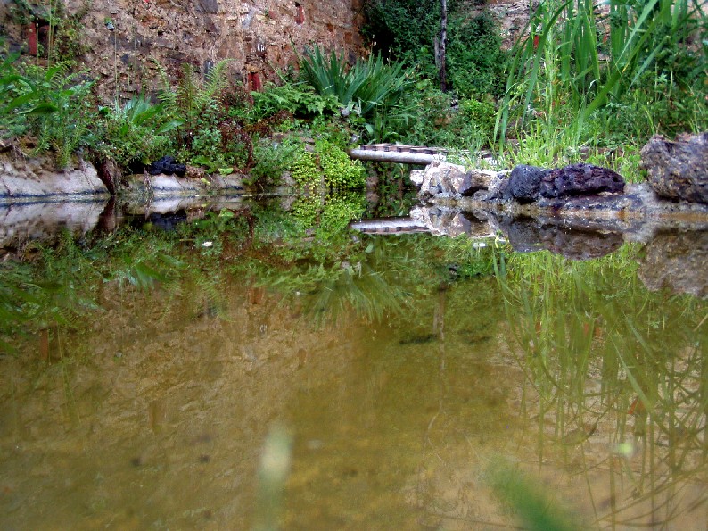 Il Laghetto del Centro di Entomologia - Piombino (LI)